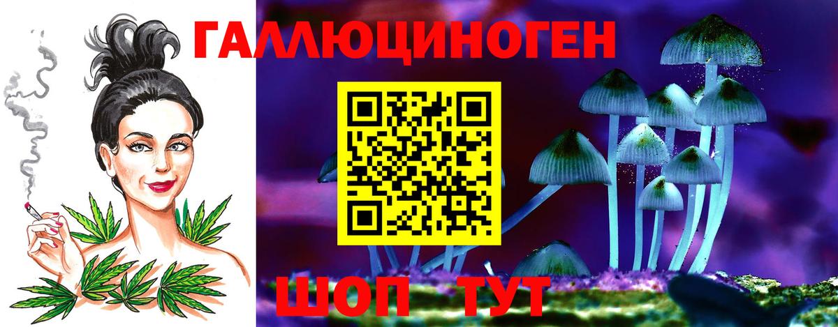 Галлюциногенные грибы Cubensis Нягань